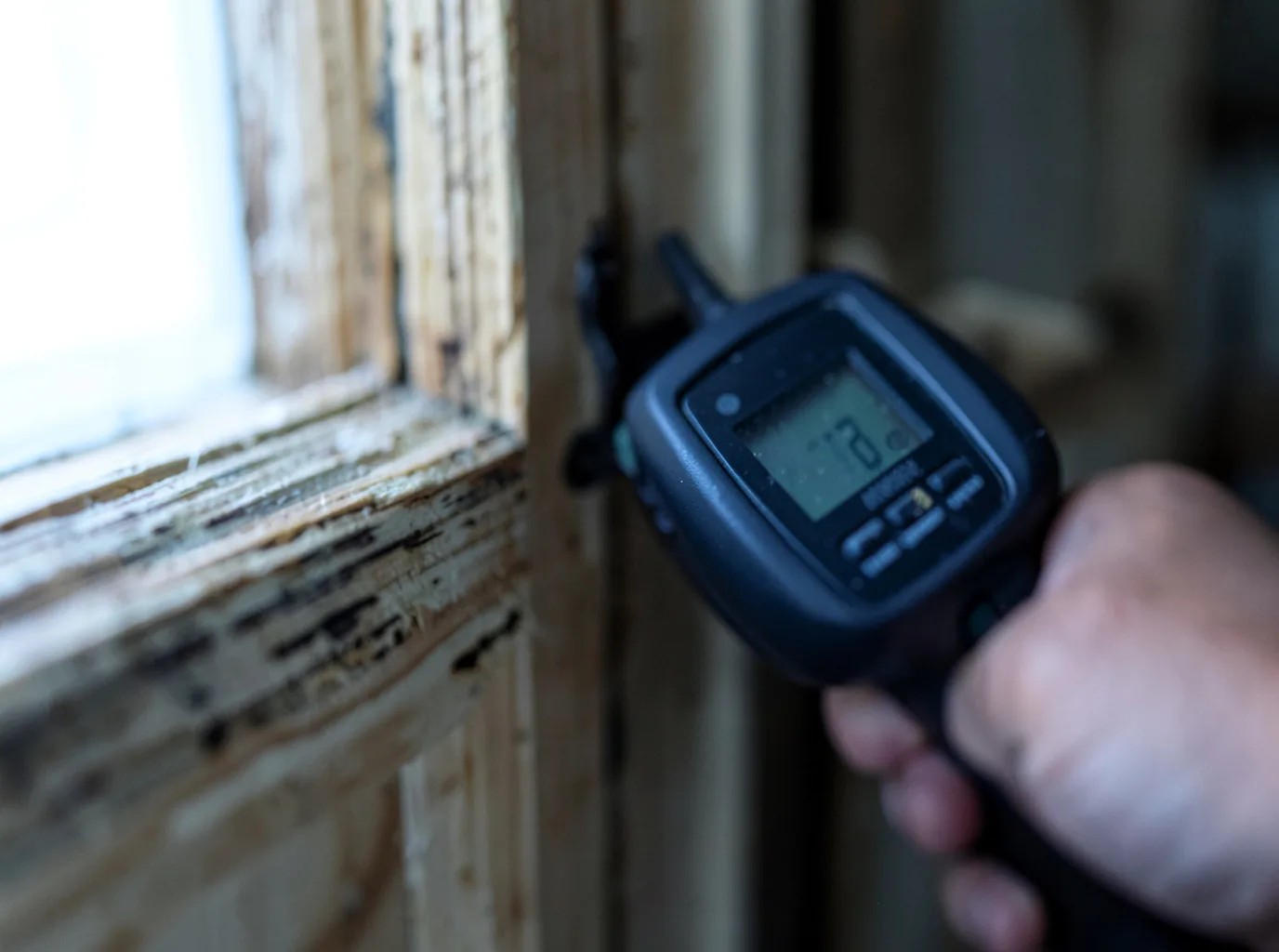 Moisture Inspection And Documentation in Park Forest, IL
